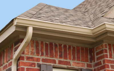 Gutter Leaf Guards: How They Work, What They Protect Against & Why You Need Them